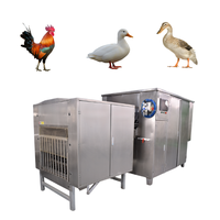 Équipement d'abattage de volailles à haute productivité automatique, équipement d'abattage de poulets/canards