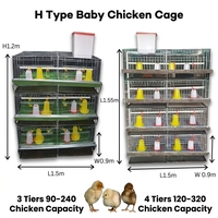 Cage d'élevage de type H, 3/4 niveaux, en batterie, galvanisée à chaud, pour poussins, élevage avicole, vente chaude pour usage domestique