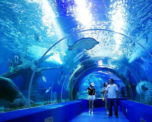 Panel de lámina de acrílico fundido grueso personalizado para acuario grande, piscina, túnel de Oceanario, ventanas de visualización subacuáticas - Product Image 1