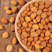 Amandes d'abricot séchées en gros Xing Ren, qualité alimentaire, matière première pour la pâtisserie, le thé et les collations, en vrac