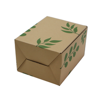 FPG Carton robuste personnalisé Emballage d'expédition ondulé pour succulentes Boîte d'expédition pour plantes Pflanzenversandkarton