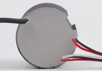 Nouveau design lithium-ion 36V 48v vélo électrique scooter e-rickshaw modèle avion chargeur de batterie chargeur de type C, chargeur GaN