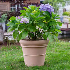 Pots de jardin d'extérieur en plastique transparents auto-arrosants pour bonsaïs <span class=keywords><strong>japonais</strong></span>, type Moka <span class=keywords><strong>Pot</strong></span>, 20 pots dorés pour usage au sol dans les centres commerciaux - Product Image 3