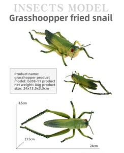 Modèles réalistes d'insectes du monde naturel : Cigale, Gélatineuse, Scarabée à fèces – Jouet éducatif en PVC pour enfants - Product Image 6