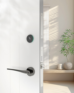 Serratura di Lusso per <span class=keywords><strong>Hotel</strong></span> con Motore e Lettore RFID, Opzioni di Maniglia Personalizzabili, Apertura Automatica a Pressione, Serratura Elettronica - Product Image 4