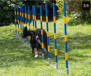 犬の敏捷性機器織りポール犬のトレーニングスラロームペット敏捷性トレーニングサプライヤー