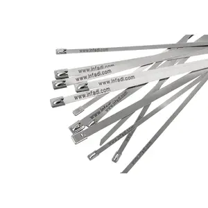 201 304 316 Self Locking Stainless Steel 200mm Cable Ties