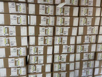 Saklar jaringan C9200-24T-A asli tersegel C9200L 24-port Data 4x1G C9200-24T-A sakelar uplink