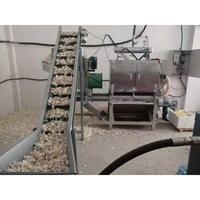 China Leverancier Shandong-Gemaakte 400Kg Industriële Knoflookschilmachine Voor Fruitverwerkingsbedrijf En Catering