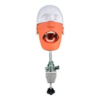 Modèle de simulation dentaire Type II MAC-L51 MAXCARE, modèle anatomique en PVC, dents détachables, préparation dentaire, orthodontie
