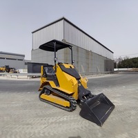 Kompakter Raupenlader Mini-Kompaktlader Direkt vom Hersteller Brandneu Exportbereit Gold-Lieferant Handelsgarantie Baumaschine