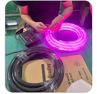 Tube néon LED RGBic en silicone noir DMX 360 degrés, lumière DJ programmable D30 D22 pour festivals de musique et carnavals