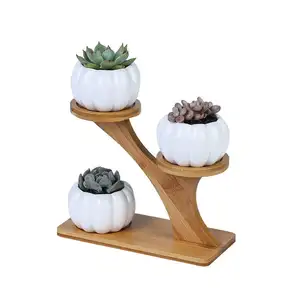 Pote de plantas criativas brancas, coruja de bambu com treetop de cerâmica combinada