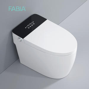 FABIA WC Monoblocco Intelligente in Ceramica con Bidet Elettrico Integrato, Certificato CE, Montaggio a Pavimento, Scarico a Gravità, per Ingrosso - Product Image 2