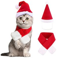 Bestseller transfrontalier : Ensemble de Noël pour chien avec cape et chapeau, kit de transformation et déguisement
