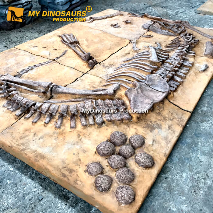 化石　D-15 トリケラトプスの骨の断片の化石（Triceratops） トリケラトプス