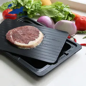 Creative Kitchen Supply Aluminum Quick Thawing Plate Thaw Defrosting Tray With Water Tank For Fast Defrost Chicken Fish