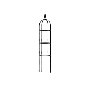 Treillis rond en fer pour plantes avec un design durable pour une utilisation en extérieur dans le jardin - Product Image 1