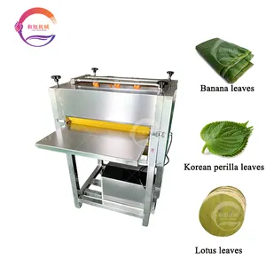 Automatische Groentewasmachine Koreaanse Pperilla Laat Wasmachines Lotus Laat Wasmachine Te Koop