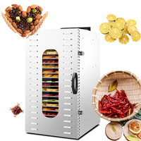 Automatische voedseldroger voor bananenchips, mango's, groenten en fruit.