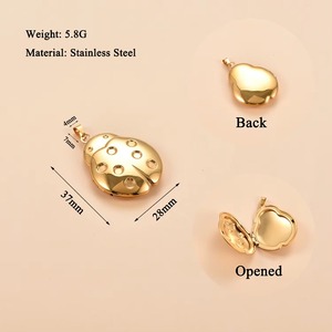 Collier avec pendentif médaillon en acier inoxydable, motif coléoptère mignon, cadre photo ouvrable, chaîne coccinelle, cadeau nostalgique pour la famille - Product Image 2
