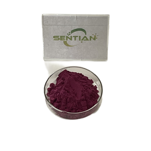 Polvo de extracto de raíz de Salvia Miltiorrhiza Danshen de alta calidad, inulina de grado alimenticio, opciones de embalaje al por mayor, botella o tambor - Product Image 5