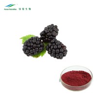 Bulkprijs Zwarte Vlierbessen Fruitextract Poeder, Antioxidant Sambucus Nigra L. 25% Anthocyanen (5%-25% Anthocyanidinen)