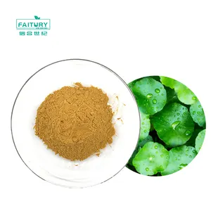 Factory Price Premium Gotu Kola Extract Powder Gotu Kola Powder