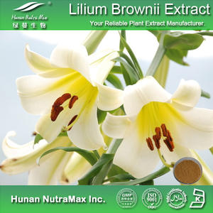Poudre d'extrait d'ampoule de lys d'extrait de <span class=keywords><strong>Lilium</strong></span> <span class=keywords><strong>Brownii</strong></span>.F d'ingrédient cru 4:1 ~ 20:1 - Product Image 3