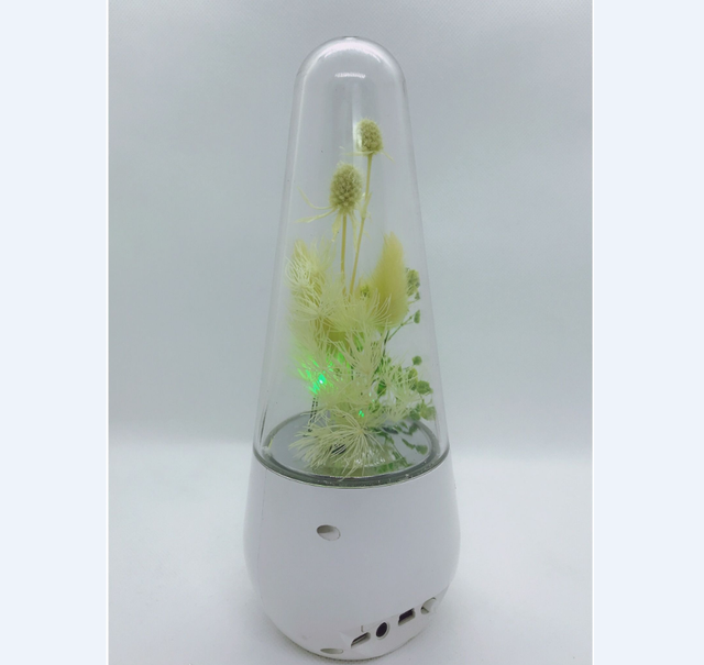 Color Changeable Wifi Music Control Water Dancing Speaker