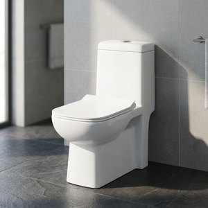 Cyclone Flushing Indian Bathroom Villa Square Full <b>Back</b> Touch Wall Rimless One Piece Water Closet - Product Image 6