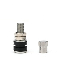 Valve de pneu tubeless en métal pour moto et scooter VAMD161 TR161 Tr416a