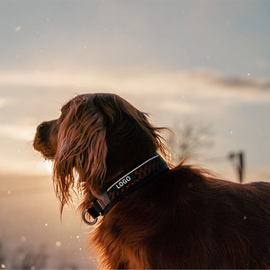 犬用ハーネスセットカスタマイズデザイン高級ソフトパッド入り軽量ソフトメッシュ調節可能 - Product Image 4