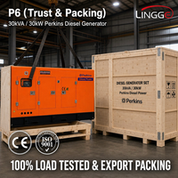 Groupe électrogène diesel silencieux 30 kVA 30 kW, moteur Perkins, triphasé 380 V, refroidissement par eau, CE ISO9001, pour usage commercial de secours