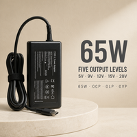 Adaptateur secteur pour ordinateur portable 65W Type-C avec protection OCP OVP OLP, certifié CE FCC RoHS, pour ordinateur portable