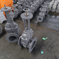 Vanne à opercule à tige montante conforme aux normes ANSI/DIN/BS, 4 pouces, taille personnalisable, siège EPDM/PTFE, corps en fonte d'aluminium pour le traitement de l'eau
