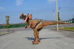 Disfraz <span class=keywords><strong>de</strong></span> Dragón Realista <span class=keywords><strong>de</strong></span> Tamaño Natural para Adultos, Disfraz <span class=keywords><strong>de</strong></span> Dinosaurio para Fiestas, Disfraces <span class=keywords><strong>de</strong></span> <span class=keywords><strong>Dinosaurios</strong></span> Personalizados - Product Image 5