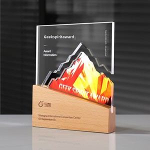Trofeo Creativo Luminoso in Acrilico e Legno Massello Personalizzato, Targa Commemorativa di Alta Qualità per Premiazioni Annuali e Riconoscimenti al Personale - Product Image 2