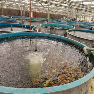 خزان مياه مسبق الصنع قابل للإزالة من الفولاذ المجلفن سعة 3-2000 متر مكعب لتربية الأحياء المائية، مباشرة من المصنع - Product Image 5