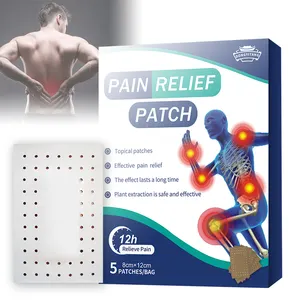 Patch anti-douleur rapide et efficace Patchs de soulagement de la douleur lombaire Douleurs corporelles Arthrite Analgésique