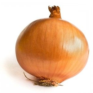 Cebolla Amarilla Texas Grano de la Marca Moon Star, Cultivo de Campo con Pureza OPV del 99.99%, Variedad Agrícola de Grado Comercial - Product Image 2