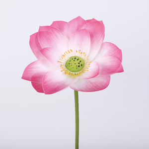 Nuovo design artificiale fiori di loto per la decorazione di eventi <span class=keywords><strong>in</strong></span> lattice foglia di loto seedpod premio ninfea per il matrimonio - Product Image 2