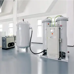 PSA Oxygen Gas Generator Equipment Medical Oxygen Generator Manufacturing Plant