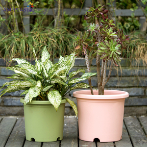 Bắc Âu Hiện Đại Vòng Trang Trí Nhựa Chậu Hoa Tùy Chỉnh Mọng Nước Trồng Cho Văn Phòng Nhà Vườn Nhà Máy Thiết Kế Mô Hình Độc Đáo - Product Image 4