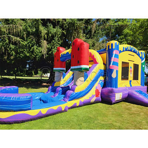 Nouvelle conception de toboggan aquatique commercial coloré <span class=keywords><strong>avec</strong></span> <span class=keywords><strong>piscine</strong></span>, toboggan gonflable arc-en-ciel <span class=keywords><strong>avec</strong></span> <span class=keywords><strong>piscine</strong></span>, thème crème glacée - Product Image 2