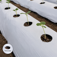 Film de paillage noir et blanc multi-usages de 25 microns, résistant aux intempéries, pour la culture de légumes en grandes exploitations agricoles et la croissance des cultures