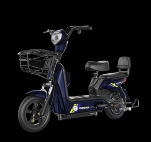 מחיר טוב אופניים חשמליים ניידים - Product Image 4