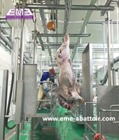 Élévateur de déchiquetage de carcasses de bétail à haute productivité, équipé d'un moteur et de roulements en acier inoxydable, à haute efficacité