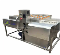 Fruitpulp Sap Concentraat Drank Maken Machine Mango En Ananas Dranken Verwerking Productielijn