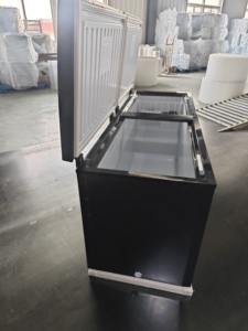 Congelador Horizontal de Una Sola Temperatura para Supermercados, Económico, de 450l, 550l, 650l, 750l, para Uso Doméstico - Product Image 6